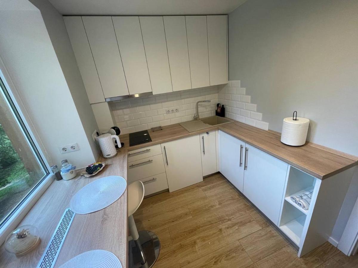 Modern 1Br Haven Near Two Parks Apartman Riga Kültér fotó
